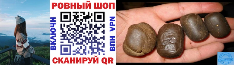Цена Шебекино ГАШИШ Псилоцибиновые грибы blacksprut как войти МЕФ КОКАИН Конопля Alpha-PVP