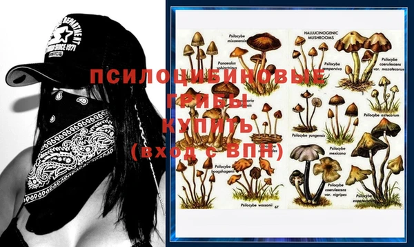 Альфа ПВП Абинск