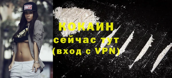 соль ск Абаза