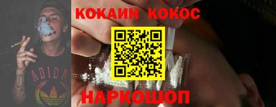 шишки Обь