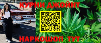 шишки Обь