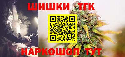шишки Обь