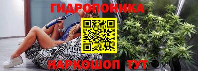 шишки Обь