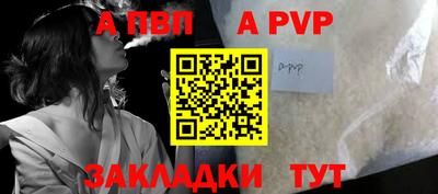 шишки Обь