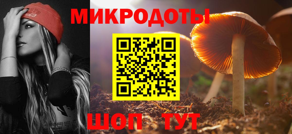 Шебекино  Галлюциногенные грибы мухоморы  Вход с VPN 